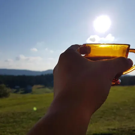 Poiana Dealul Frumos Jaktstuga Gîrda de Sus