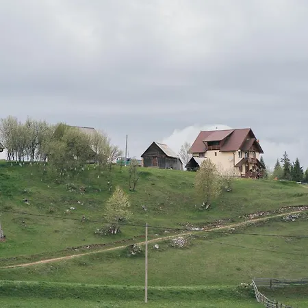 Poiana Dealul Frumos * Gîrda de Sus