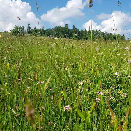 Jaktstuga Poiana Dealul Frumos Gîrda de Sus